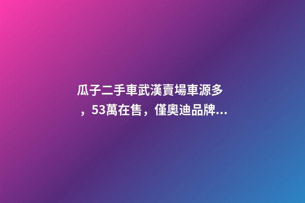 瓜子二手車武漢賣場車源多，5.3萬在售，僅奧迪品牌就有3000多輛